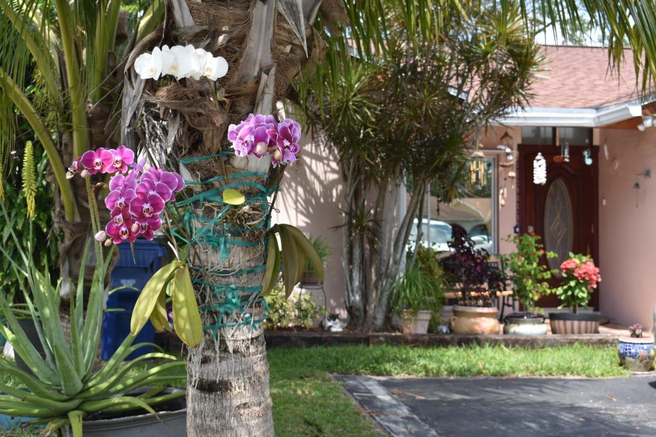 Miami Nice Apartment Exterior foto